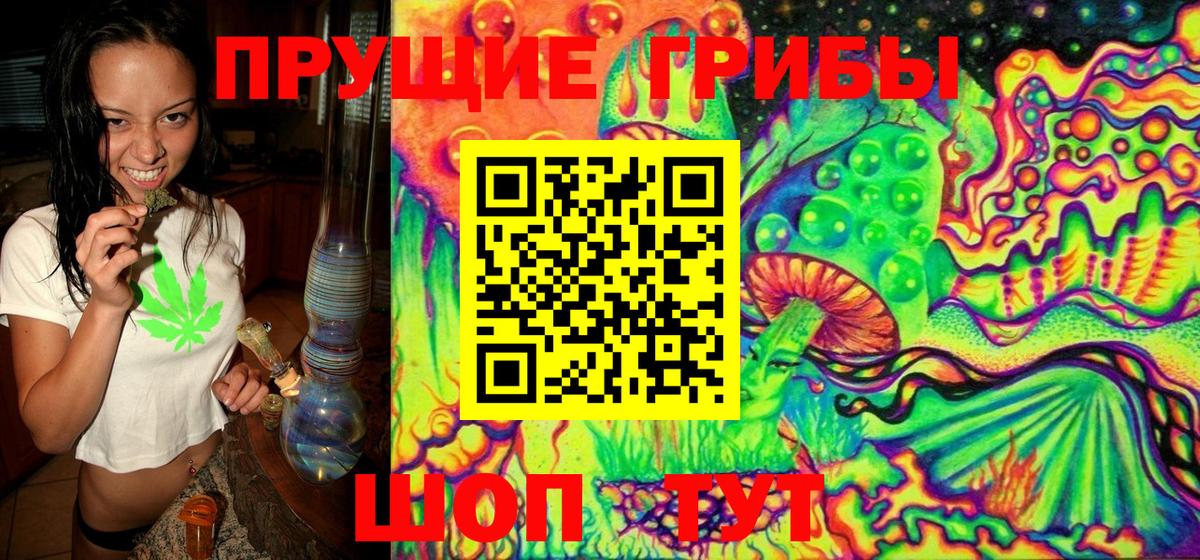 Галлюциногенные грибы MAGIC MUSHROOMS Старая Русса