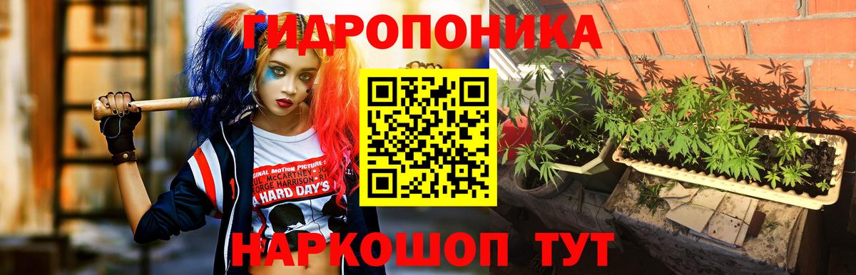 Конопля марихуана  Шишки марихуана SATIVA & INDICA  Канабис SATIVA & INDICA  МАРИХУАНА индика  Вход с VPN  Старая Русса 